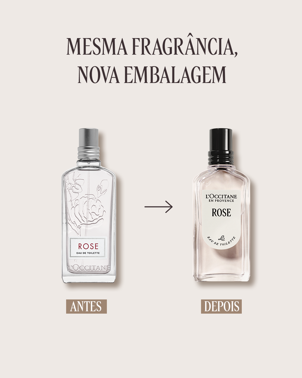 Eau de Toilette Rose 50mL (Rosas) | L'Occitane en Provence